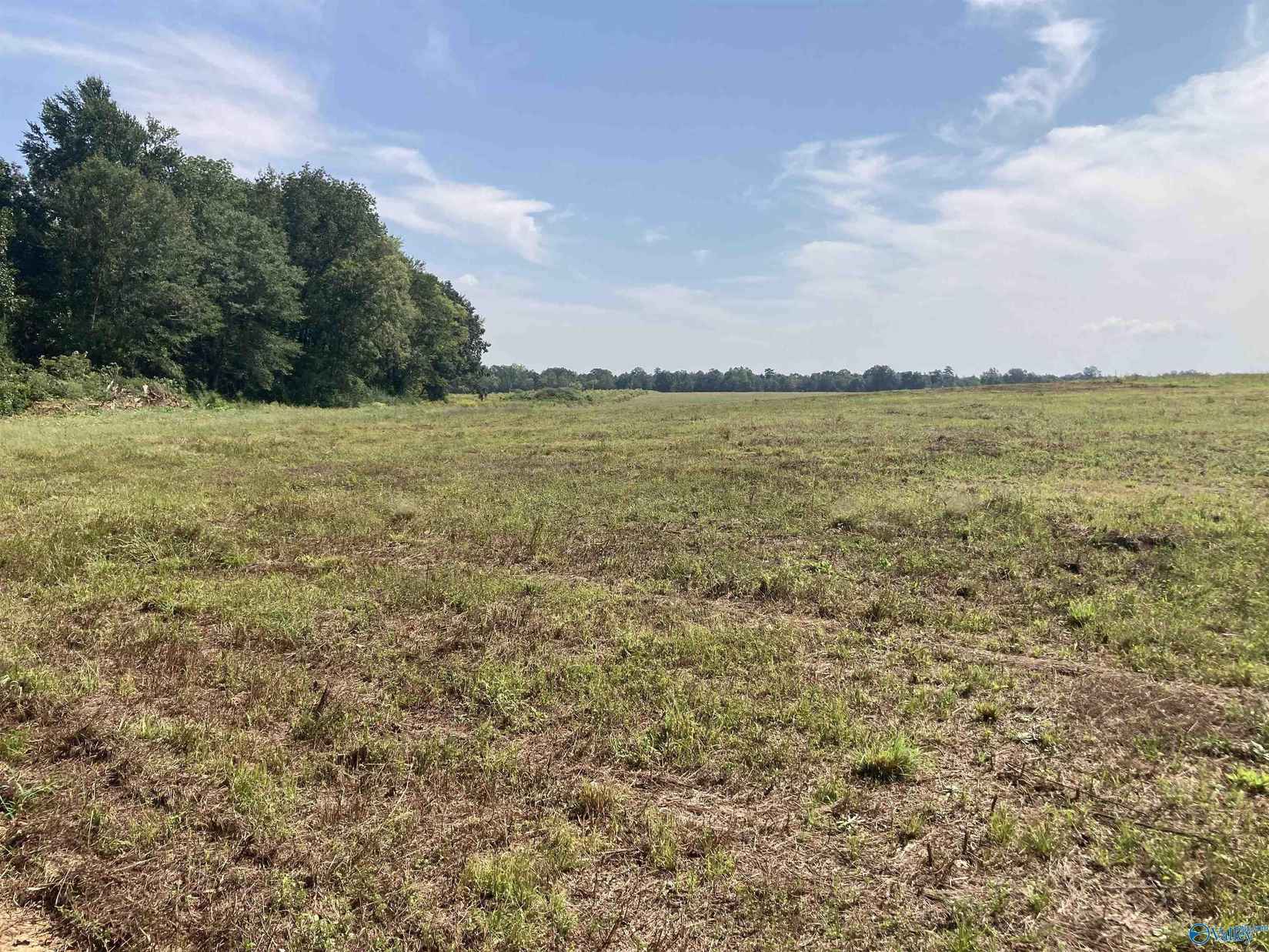 Tract 16 Hays Ml Rd  