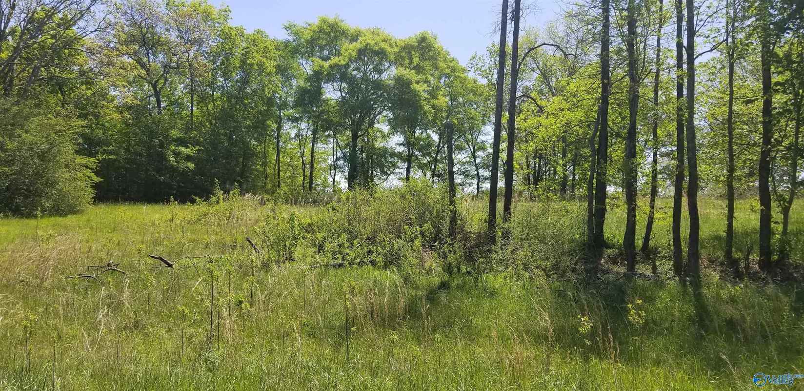 Lot#28 County Rd 1010  