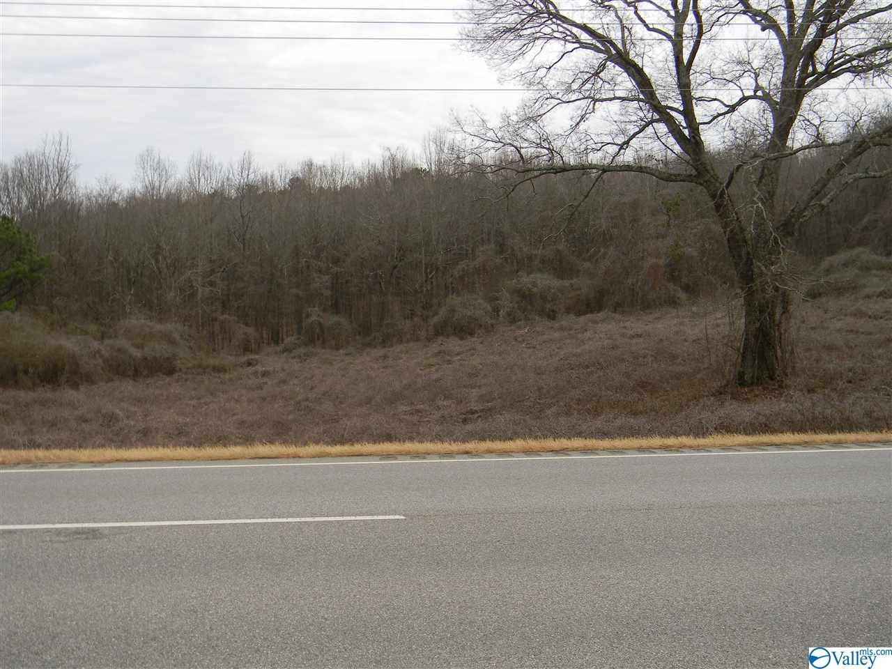 Lot Unit 3 Hwy 411  