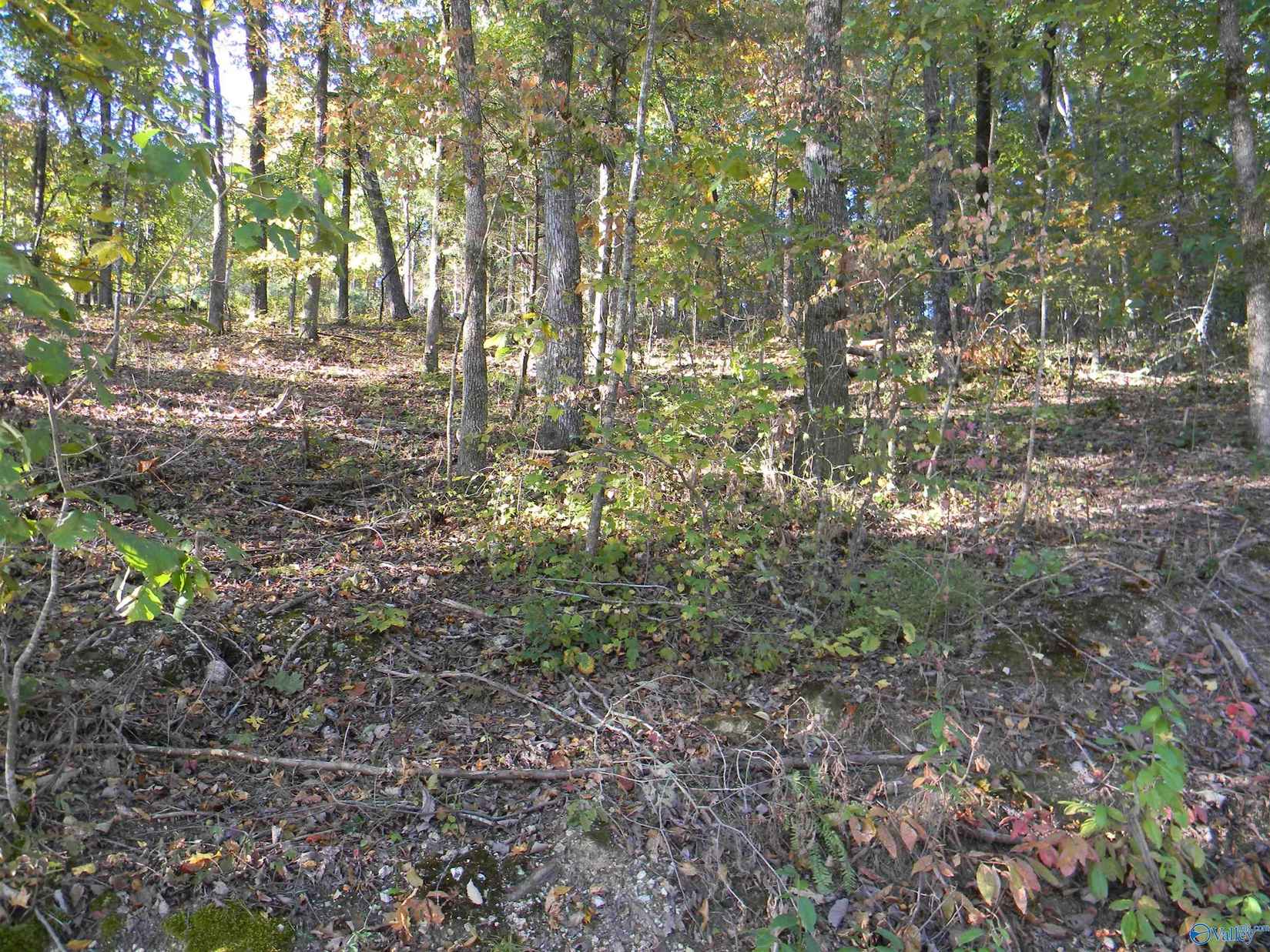 Lot 5 County Rd 594  