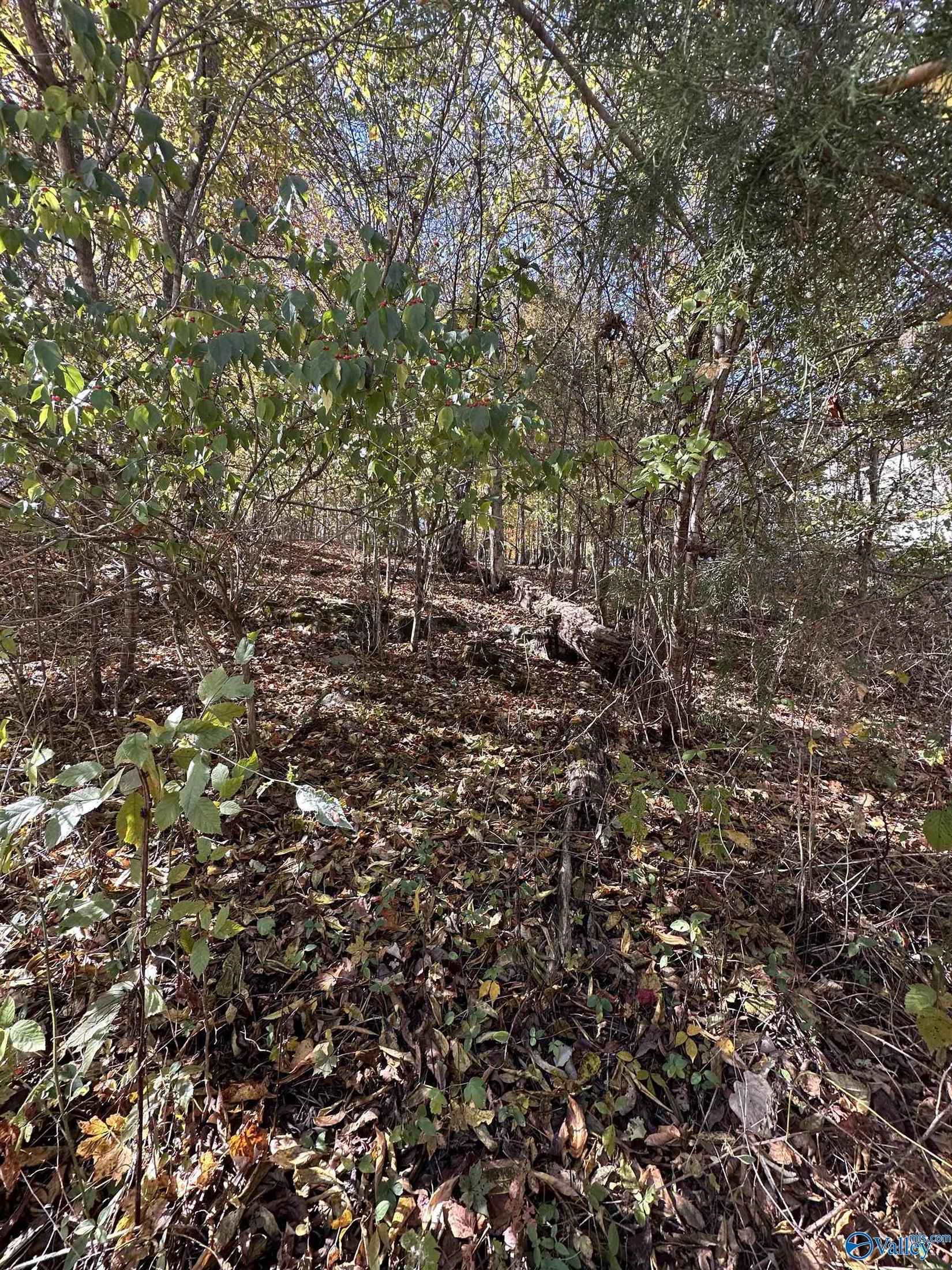 4620 Legacy Preserve Way  