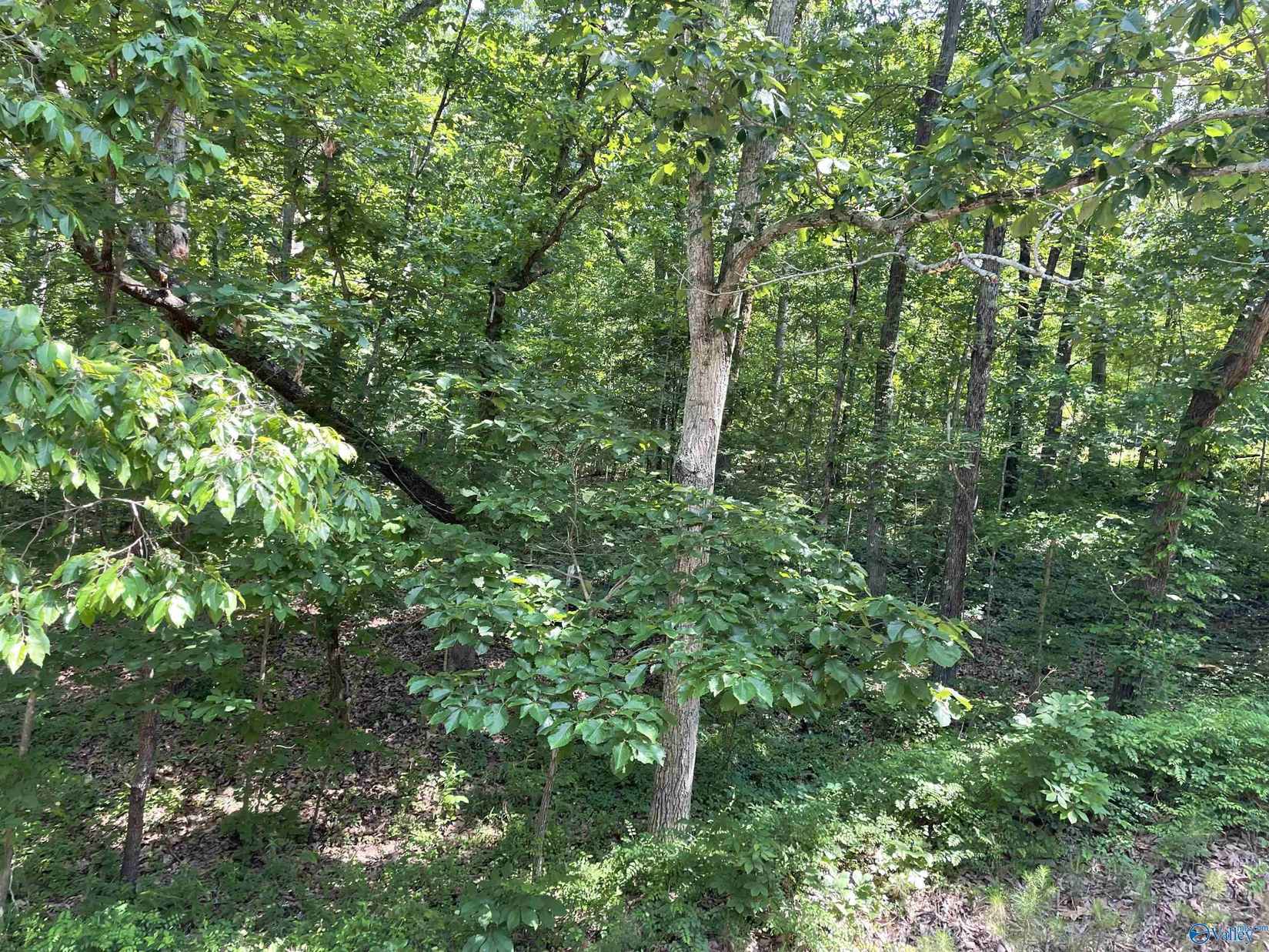 Lot 29 30 Mary Elizabeth Ln  