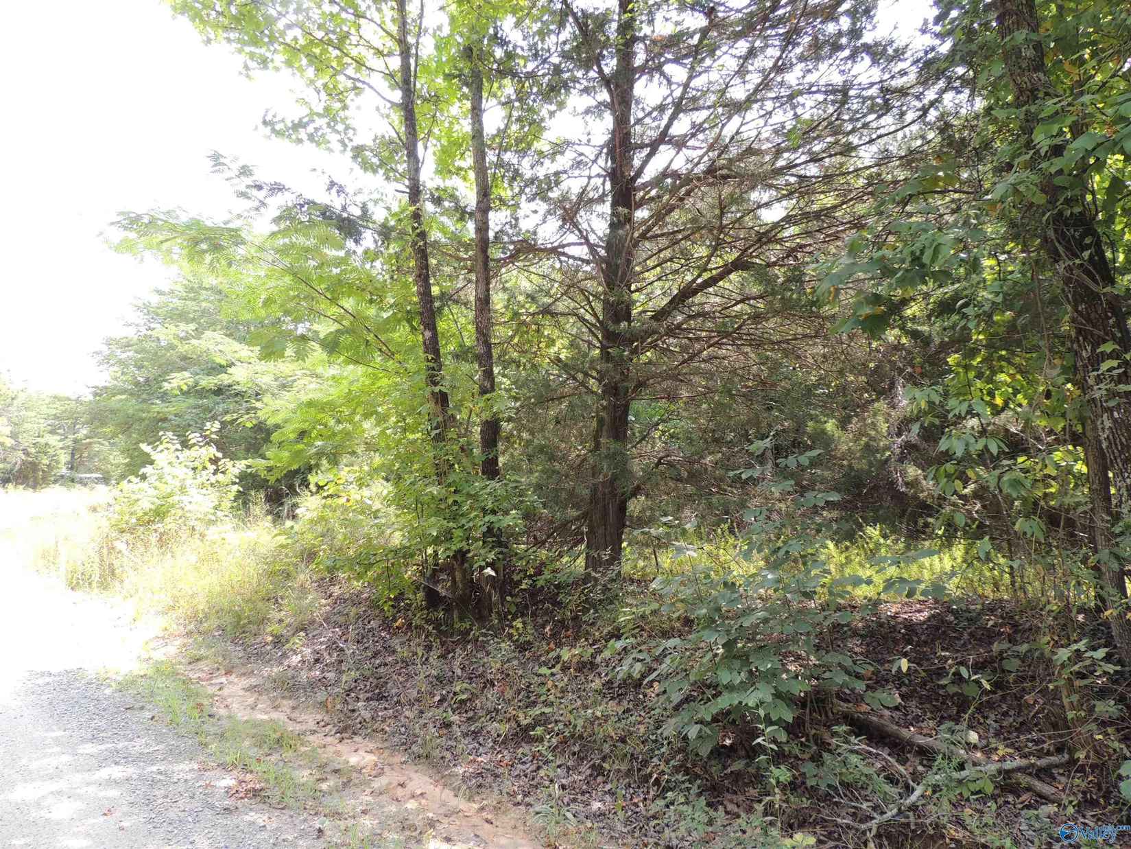 22 4 Acres County Rd 9  