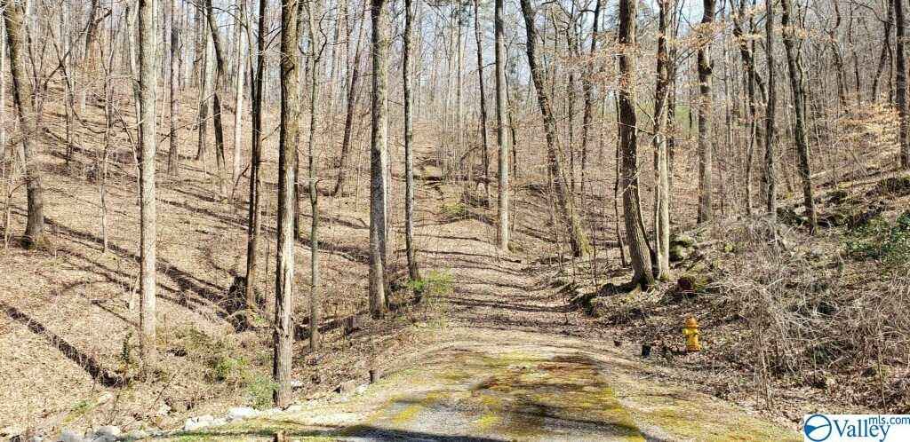 3 2 Acres Northwoods Trl  
