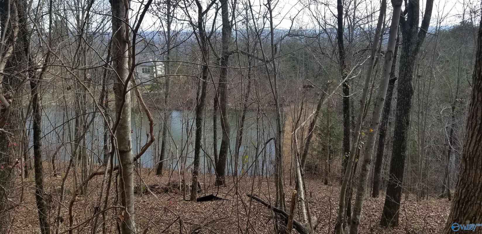 Lot 72 County Rd 839  