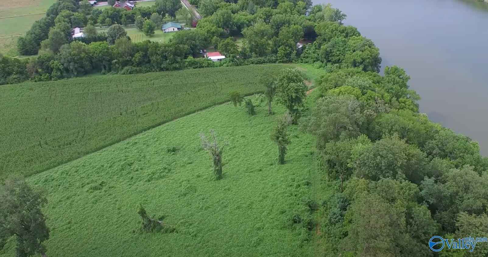 1163 Mccutcheon Loop Rd  