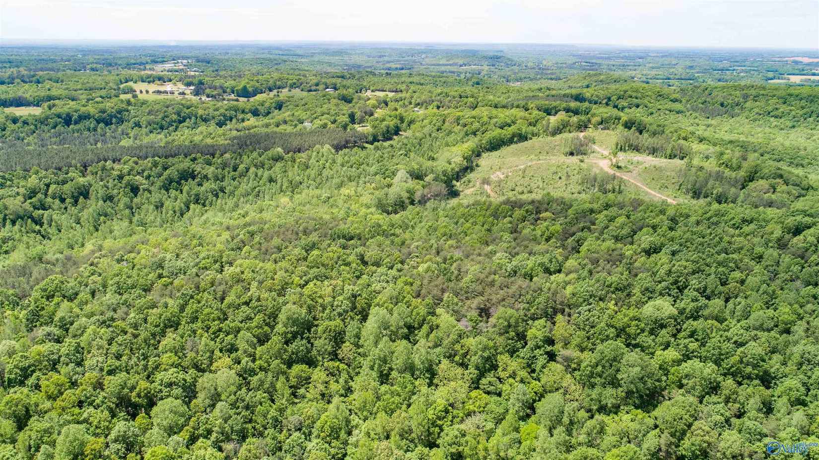 110/- Acres County Rd 262  