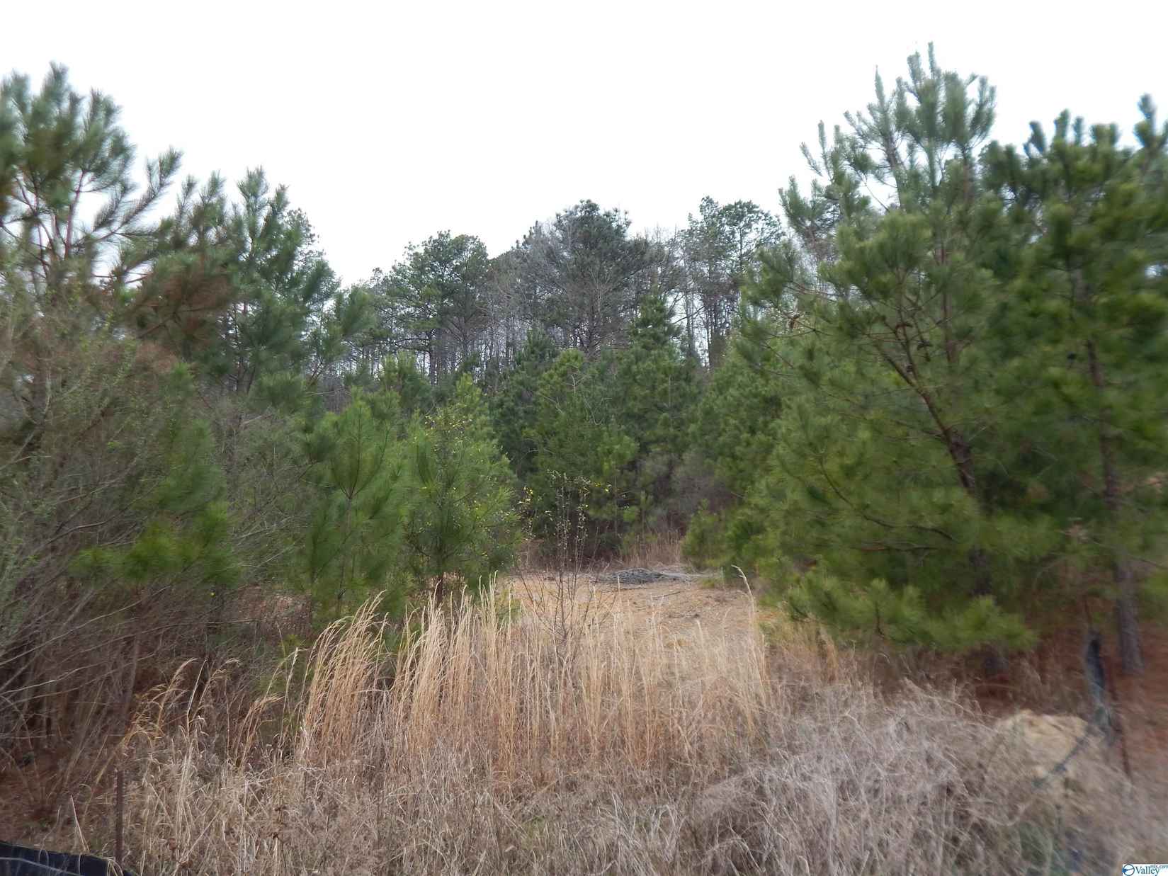 59 61 Acres Faith School Rd  
