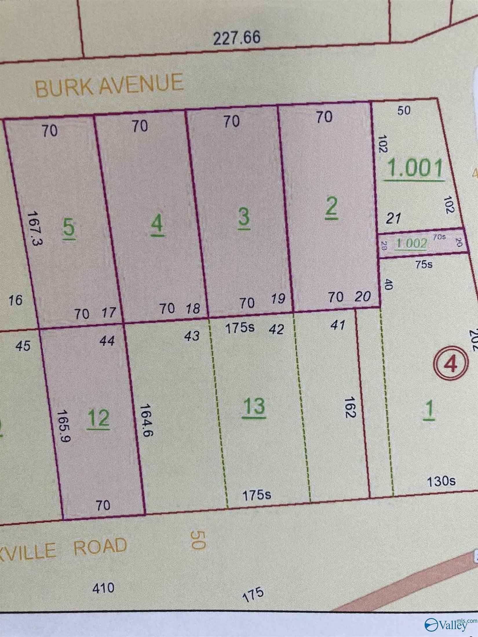 1 30 Acres Burk Ln  