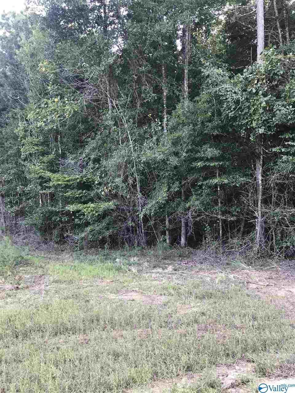 Lot 30 County Rd 279  