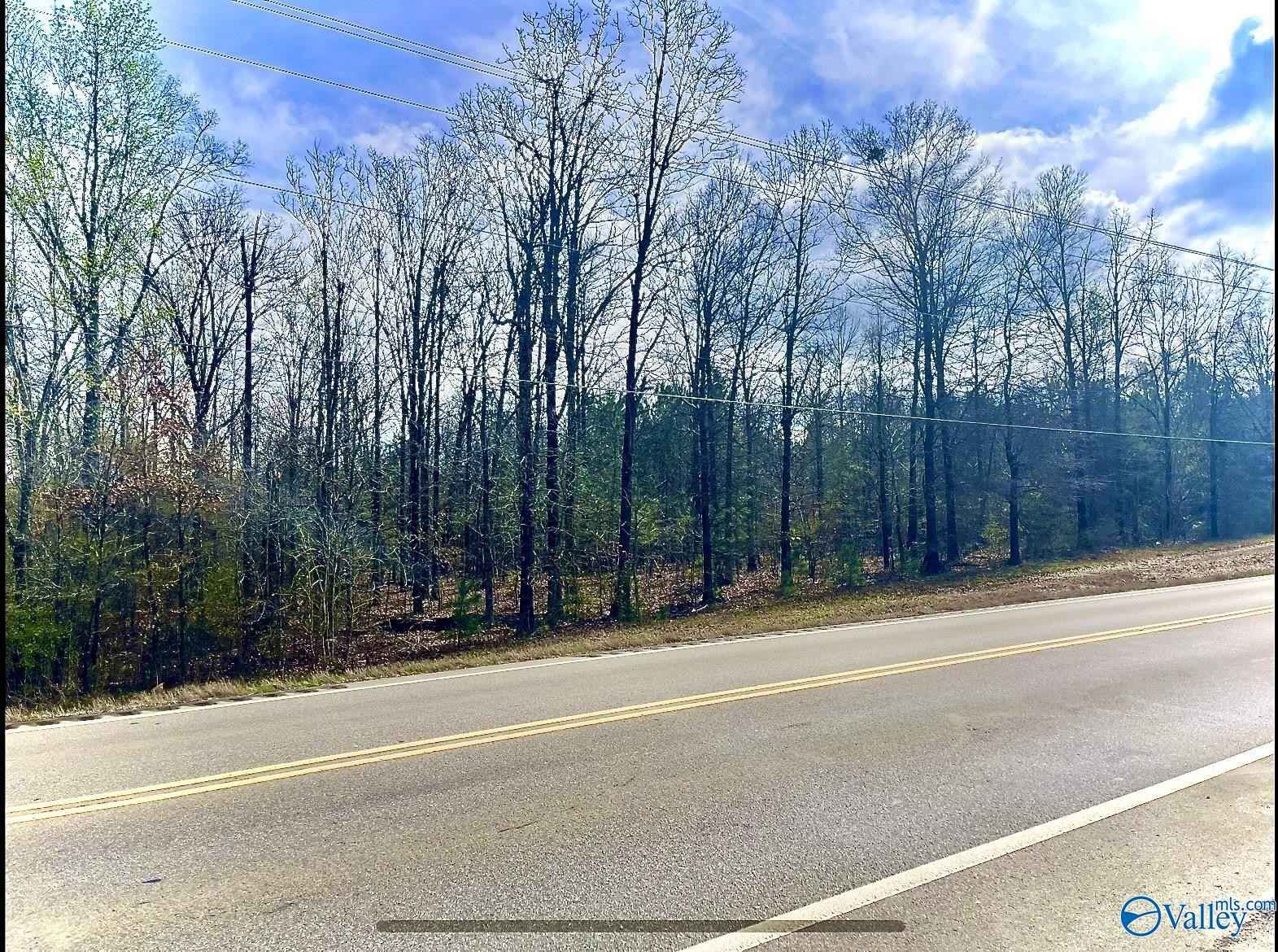 7 9 Acres Piedmont Hwy  