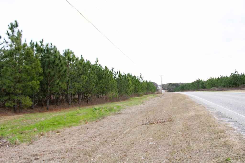 TBD Hwy 167  