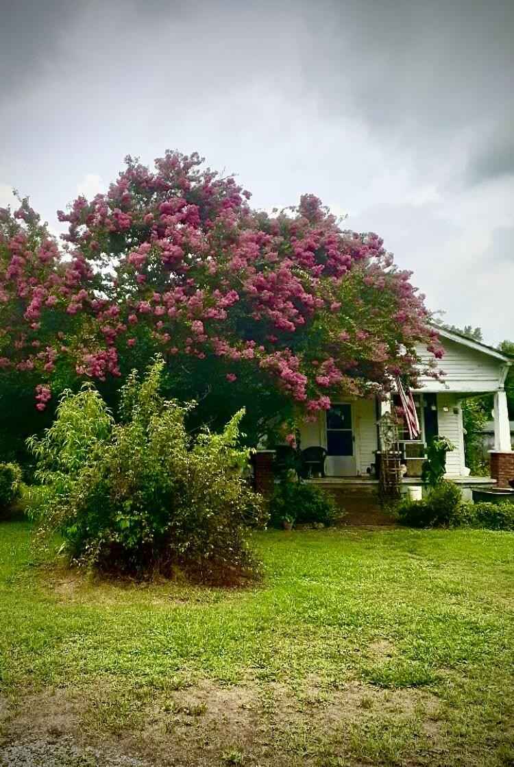 357 County Rd 660  