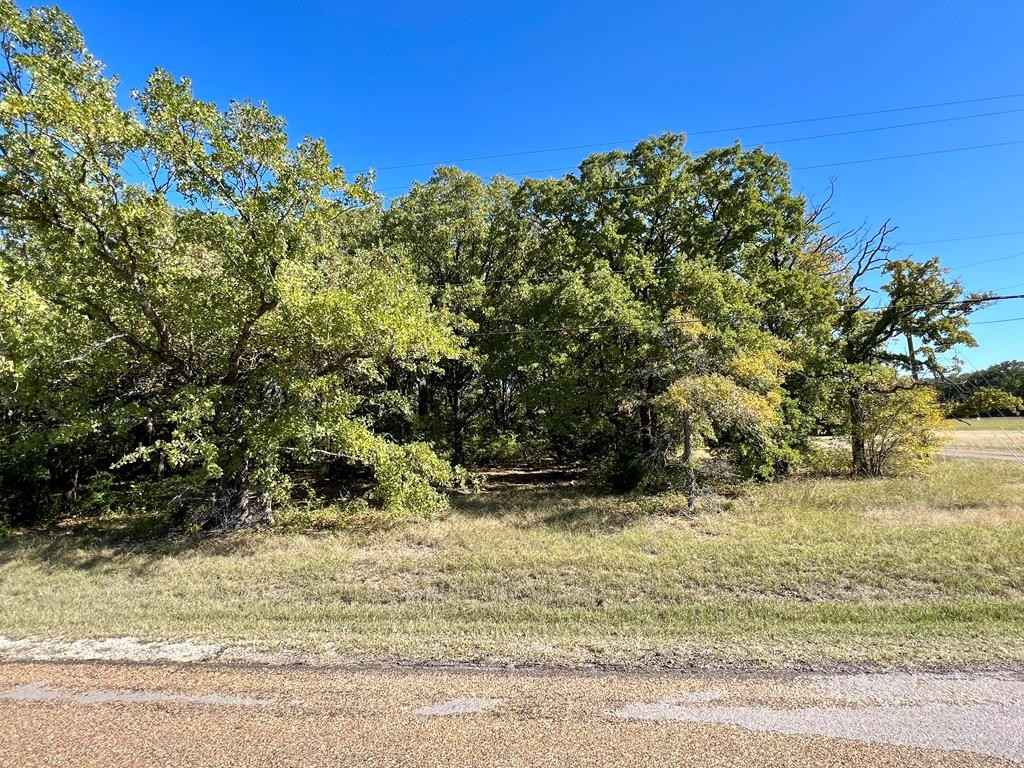 0 Water Oak  