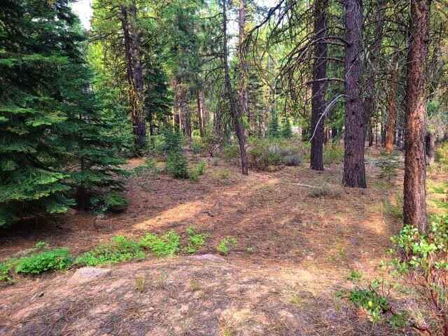 Lot 12 Yak Ln  