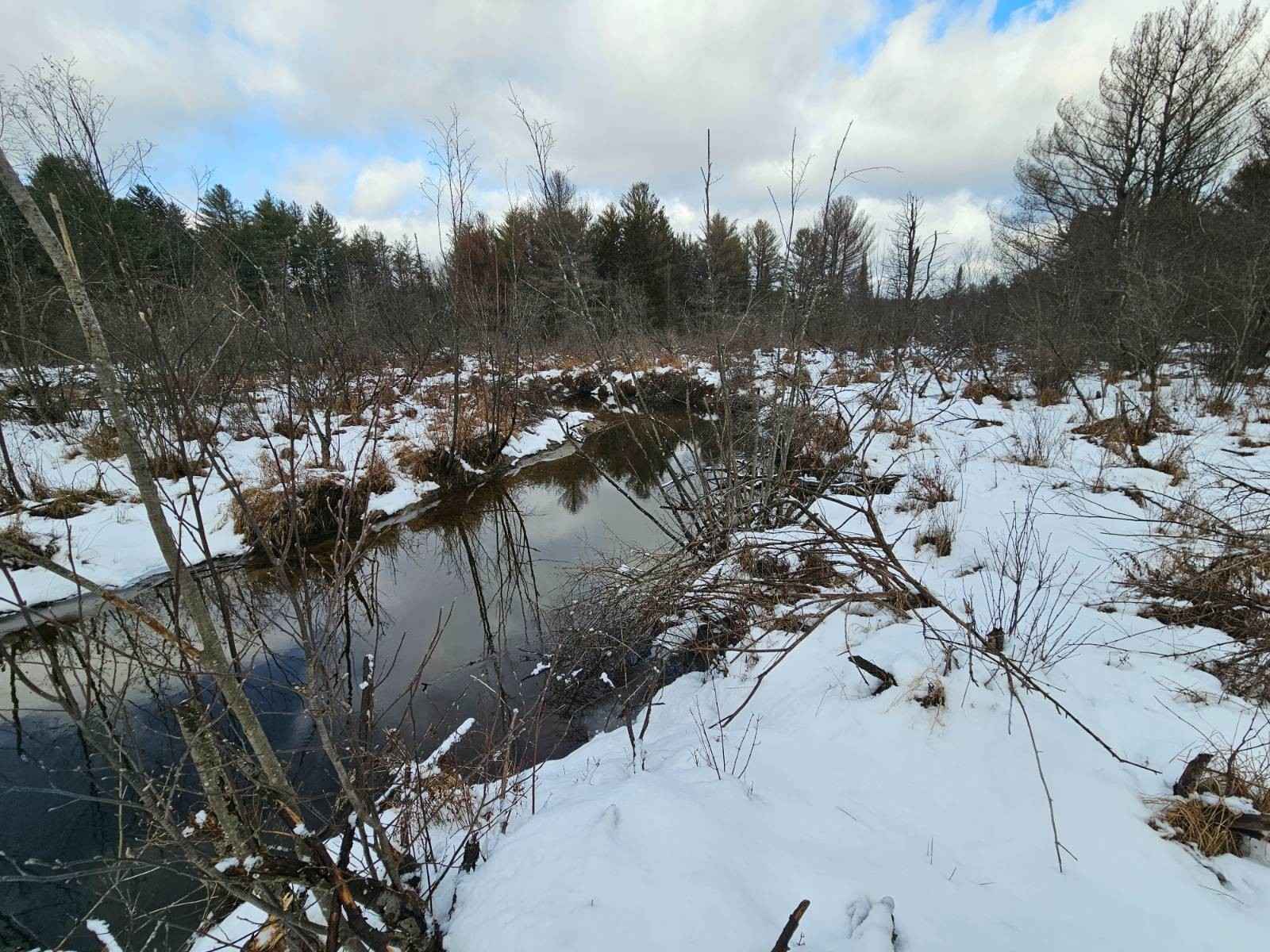 0WP Emmonsburg/Red School House Rd  