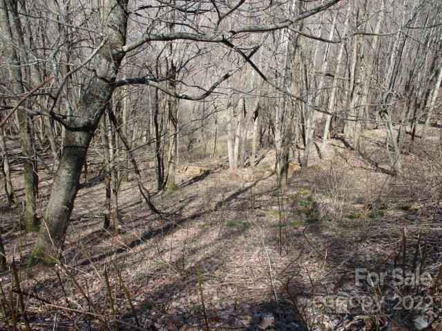 Lot 31 Sallywood Trail Sallywood Trl  