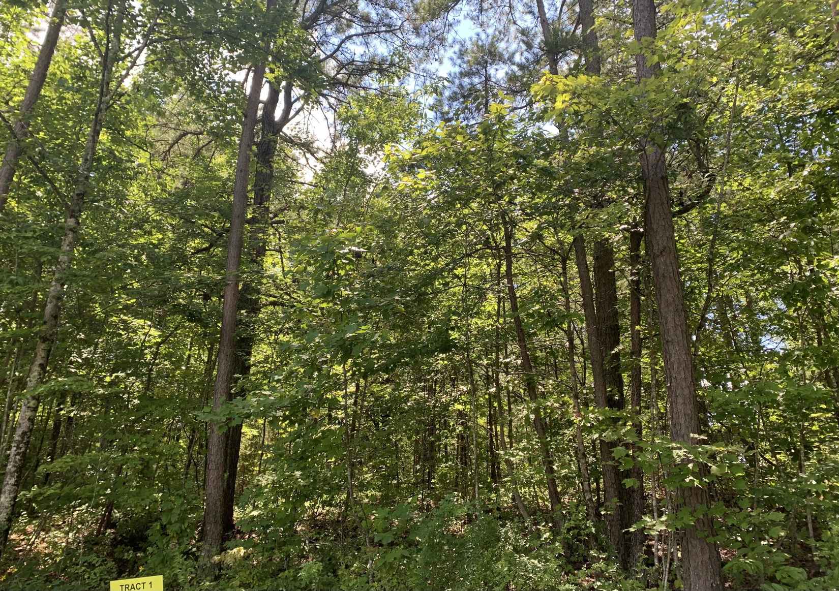 3101 Hazel Patch Rd  