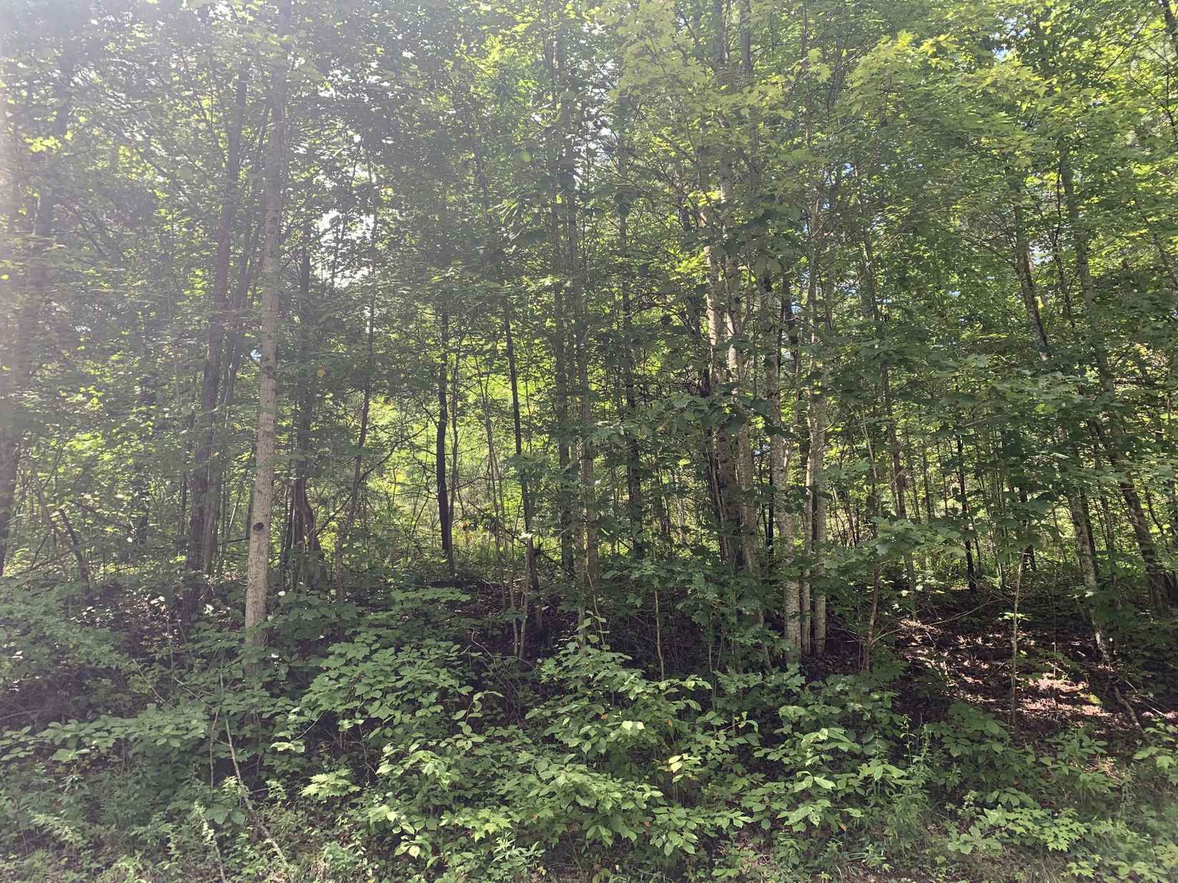 3001 Hazel Patch Rd  