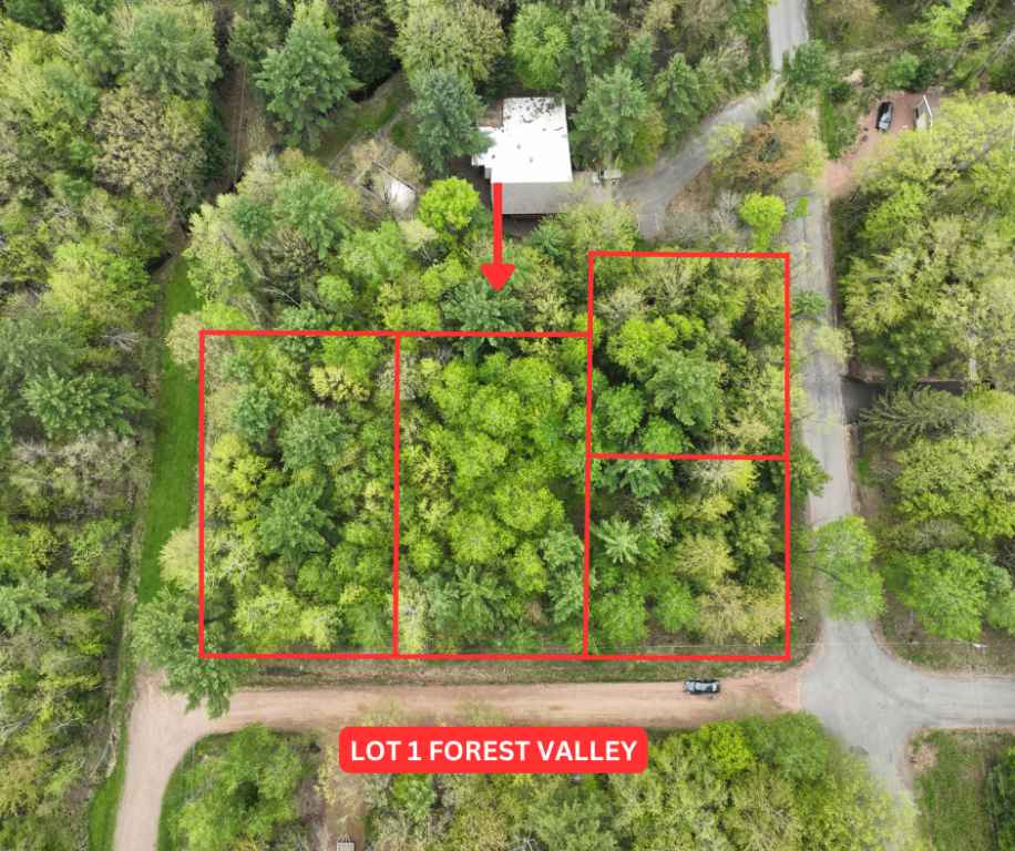 LOT 1 FOREST Vly Rd  