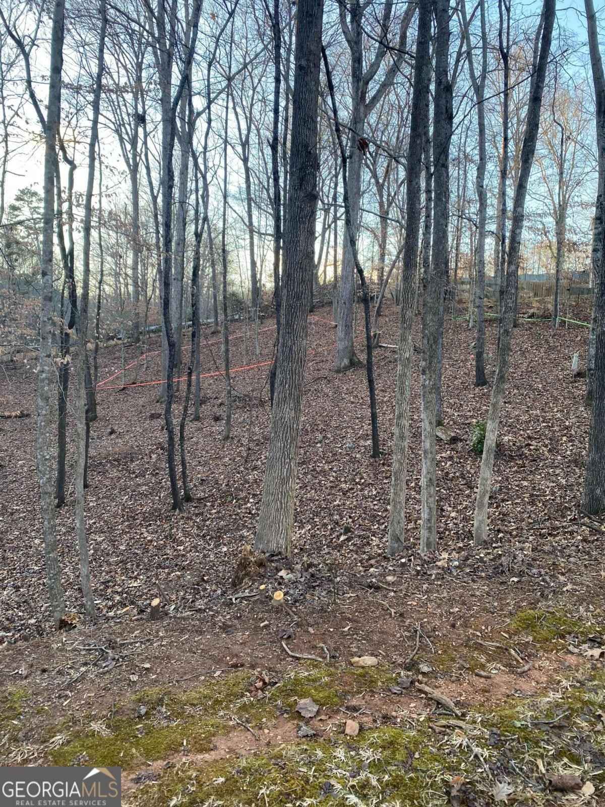 3093 Chattahoochee Trce  