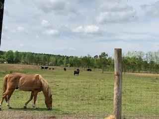 TBD Moses Dingle Rd (22 Acres)  