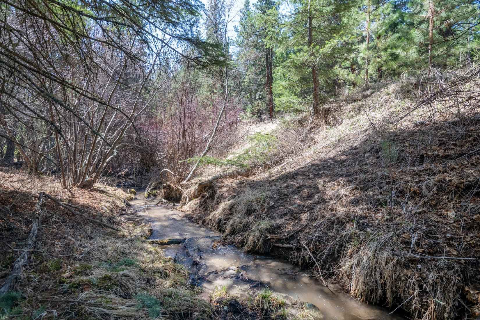 Tract 273 Sapphire Rnch Trl  