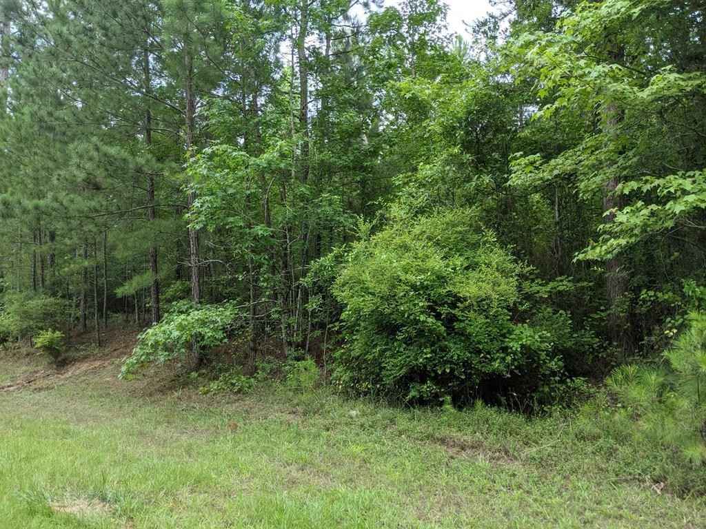 Lot 1 Indian Rd  