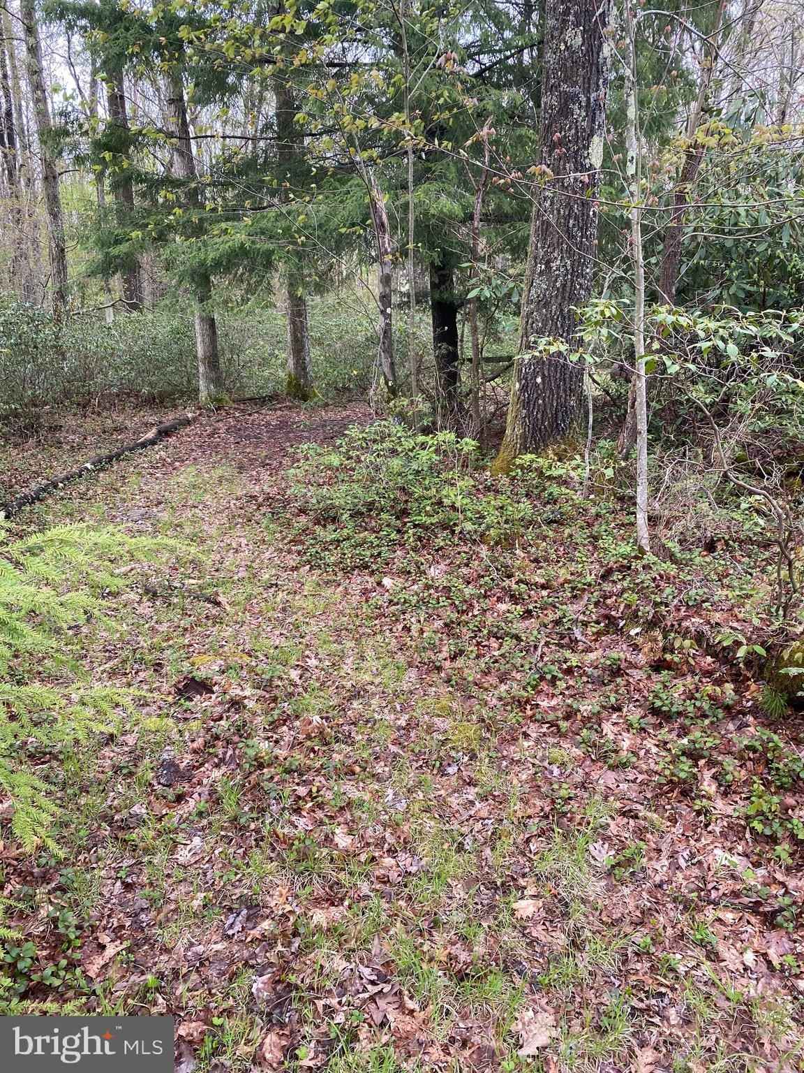 LOT 34 BLACK OAK Dr  