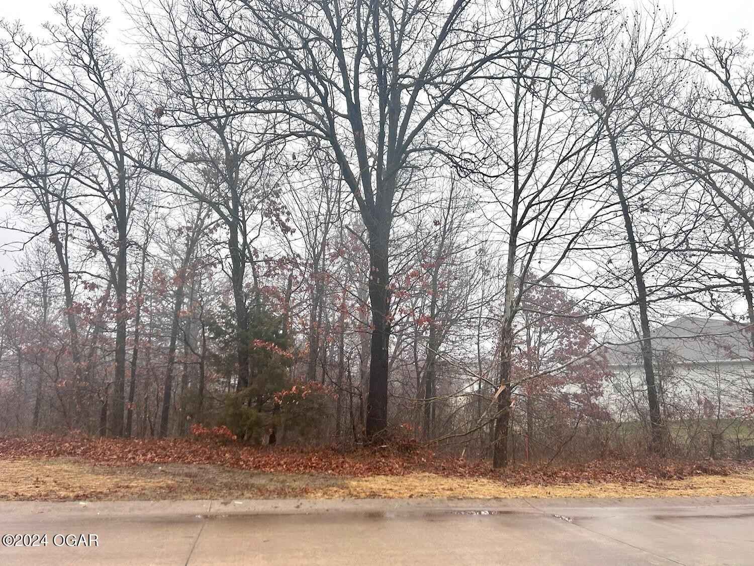 Lot 17 Plat 2 Dogwood Trails  