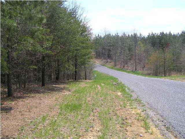 302 Trail Of Tears Rd  