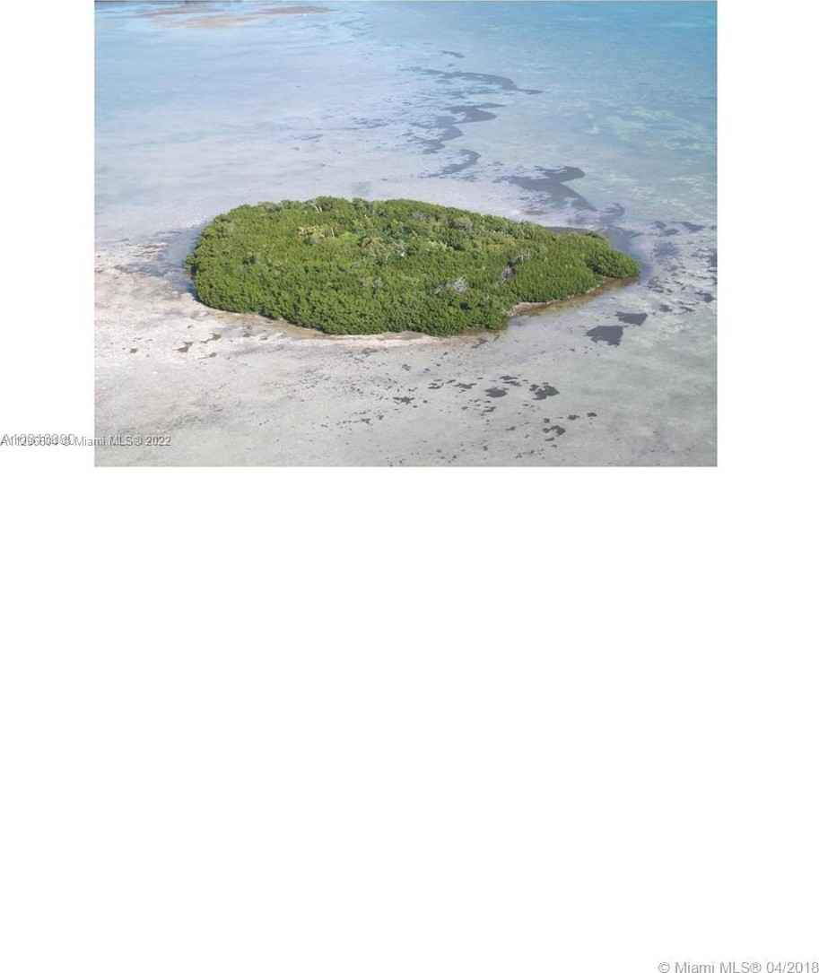 99 Don Quixote Key Big Pne Ky  