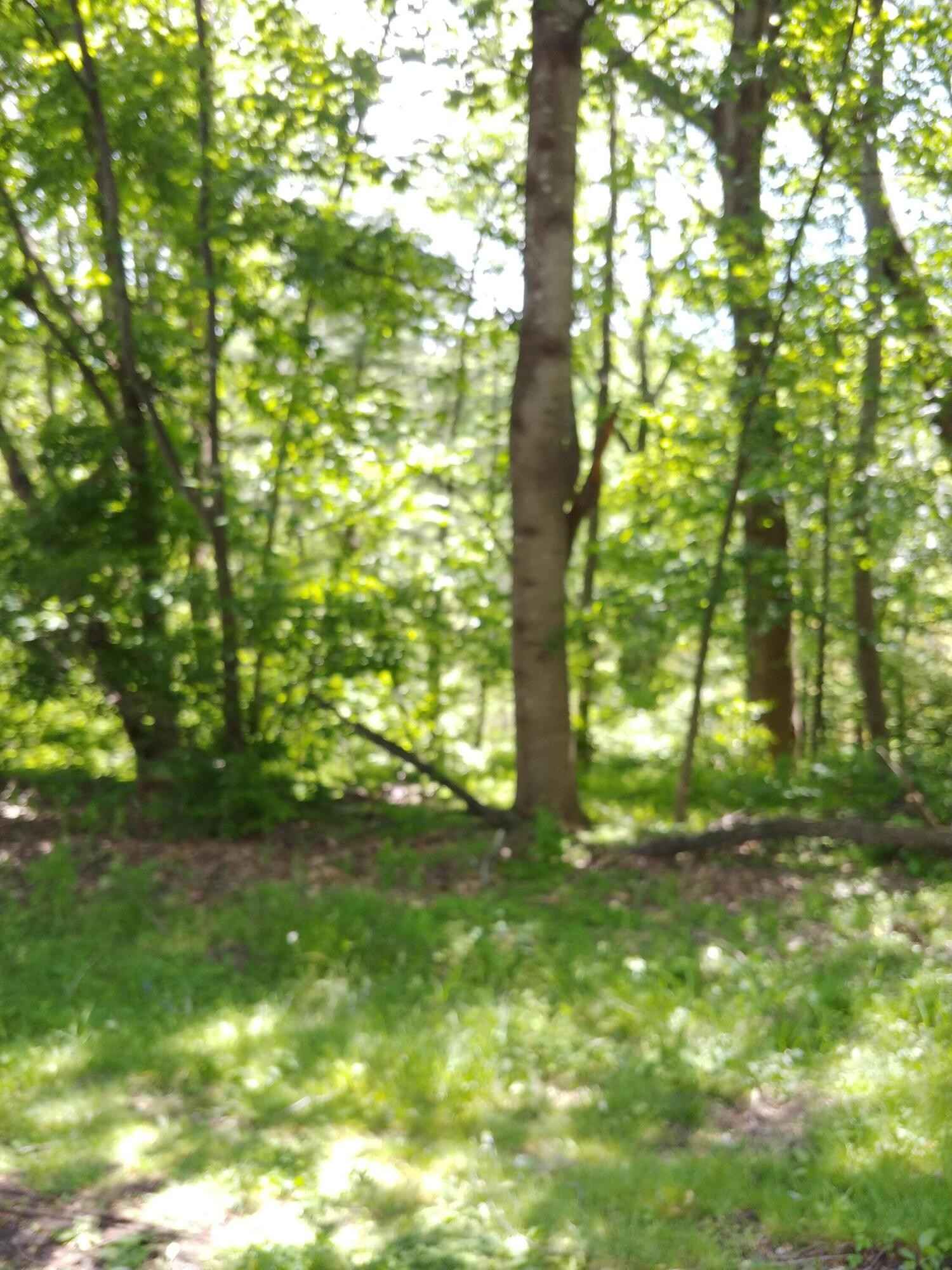 7248 Carriage Hls DR  