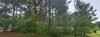 104 Saluca Ct  