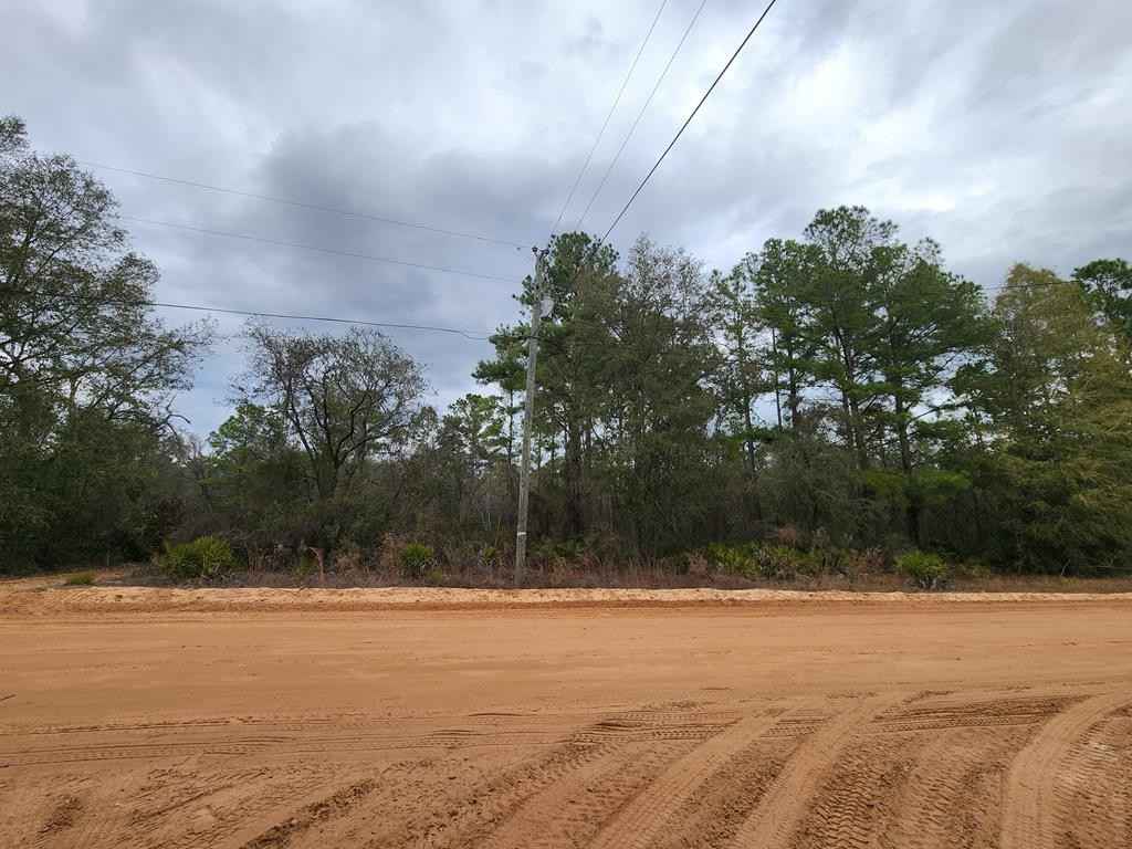 Lot 4 Mixon Ln  