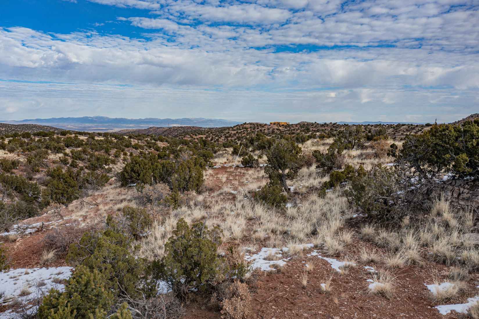 233 North Wild Primrose  