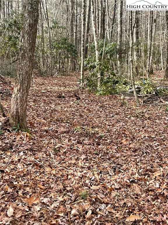 Tbd lot 86 Trojan Horse Cir  