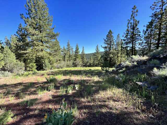 Lot 52 Marymee Ln  