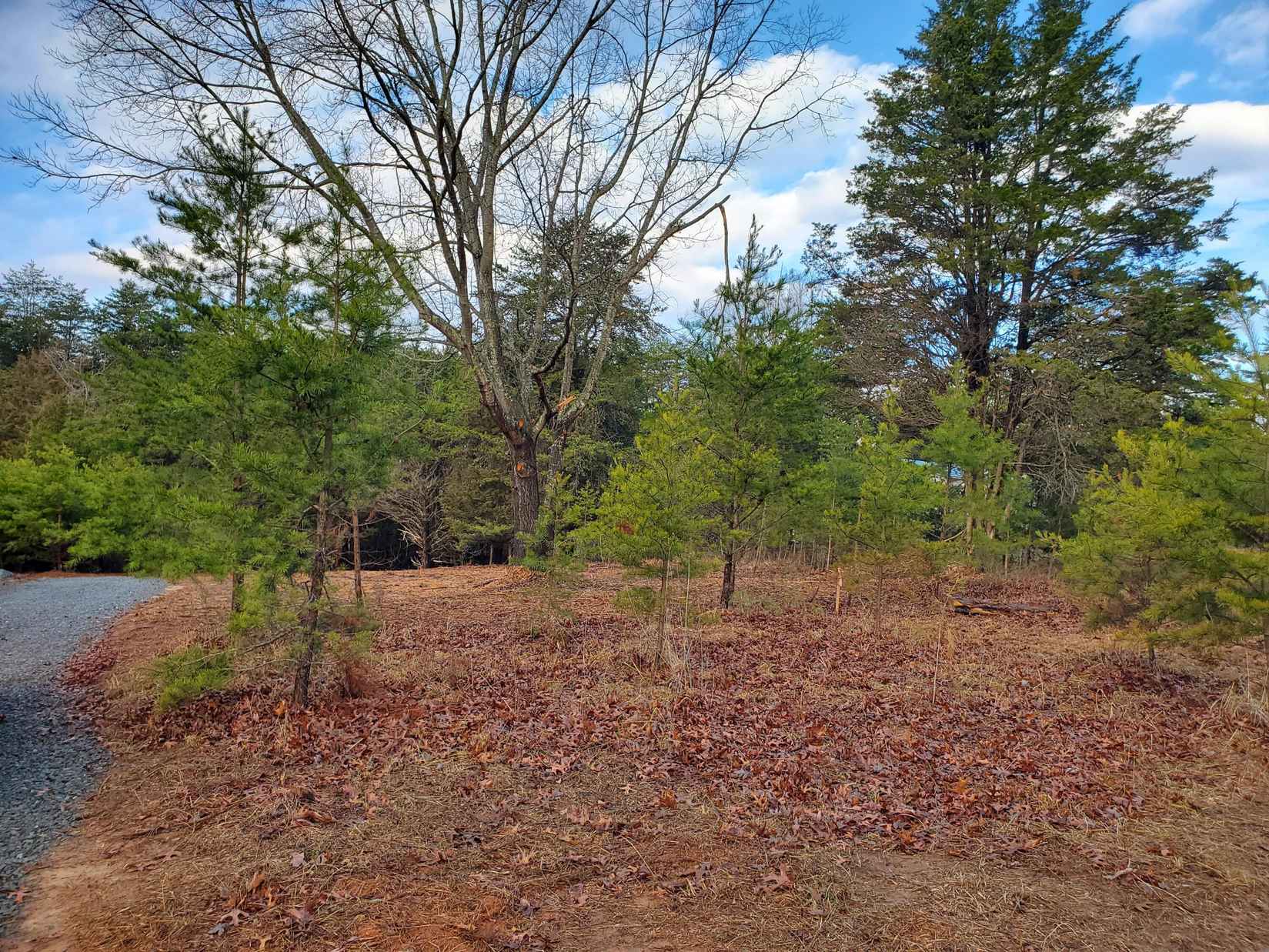 Lot 23 Waters Edge Dr  