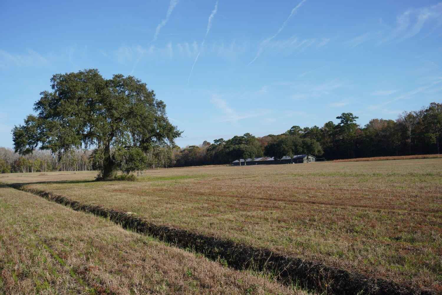 2066 Rackity Hall Rd  