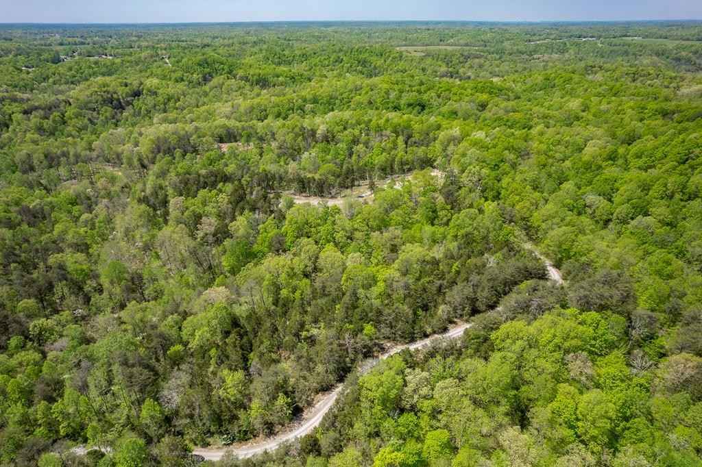 Seven Knobs Rd 65 62 Acres  