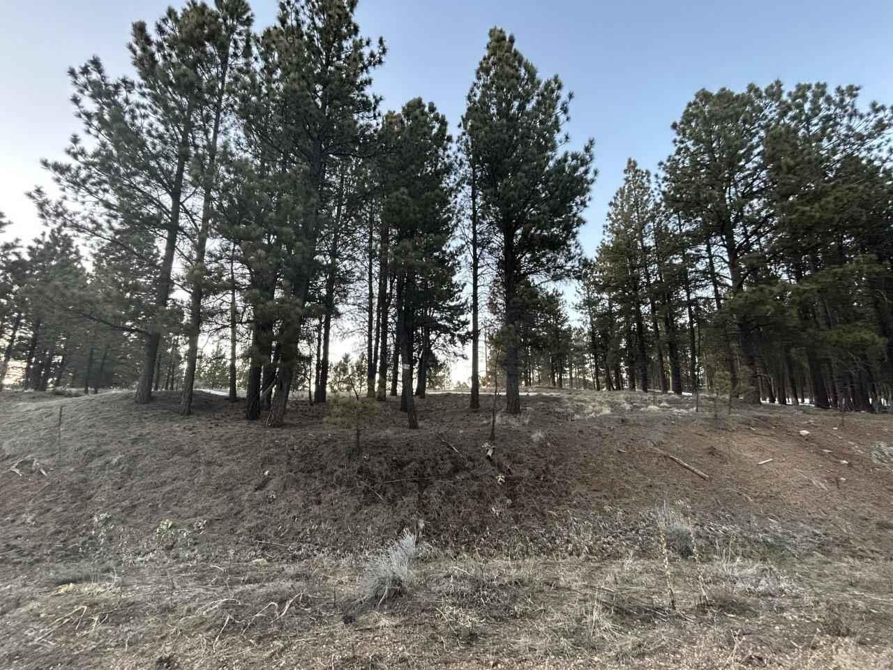Lot 11 Vly Rd  