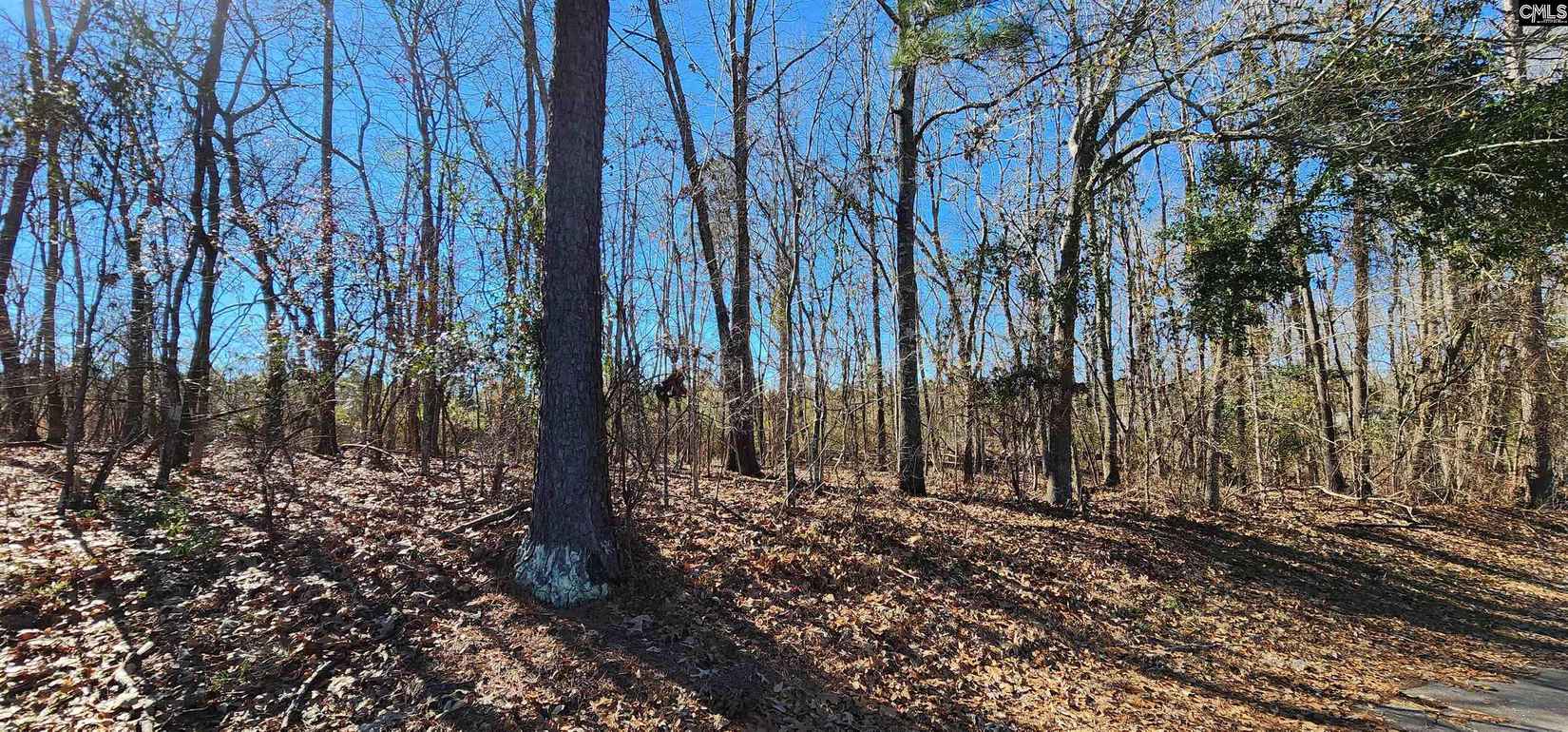 Lot 16 and 17 Ridgecrest Ct  