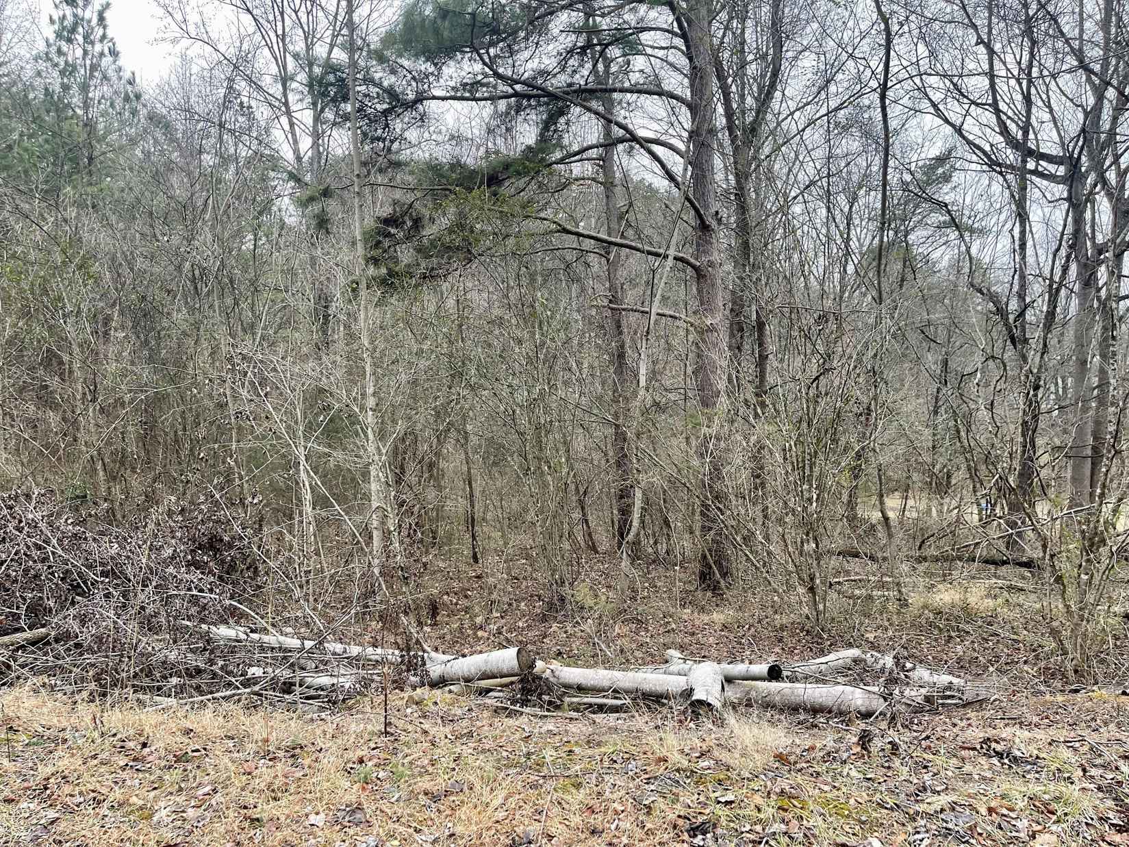 Lot 25 East Dr  