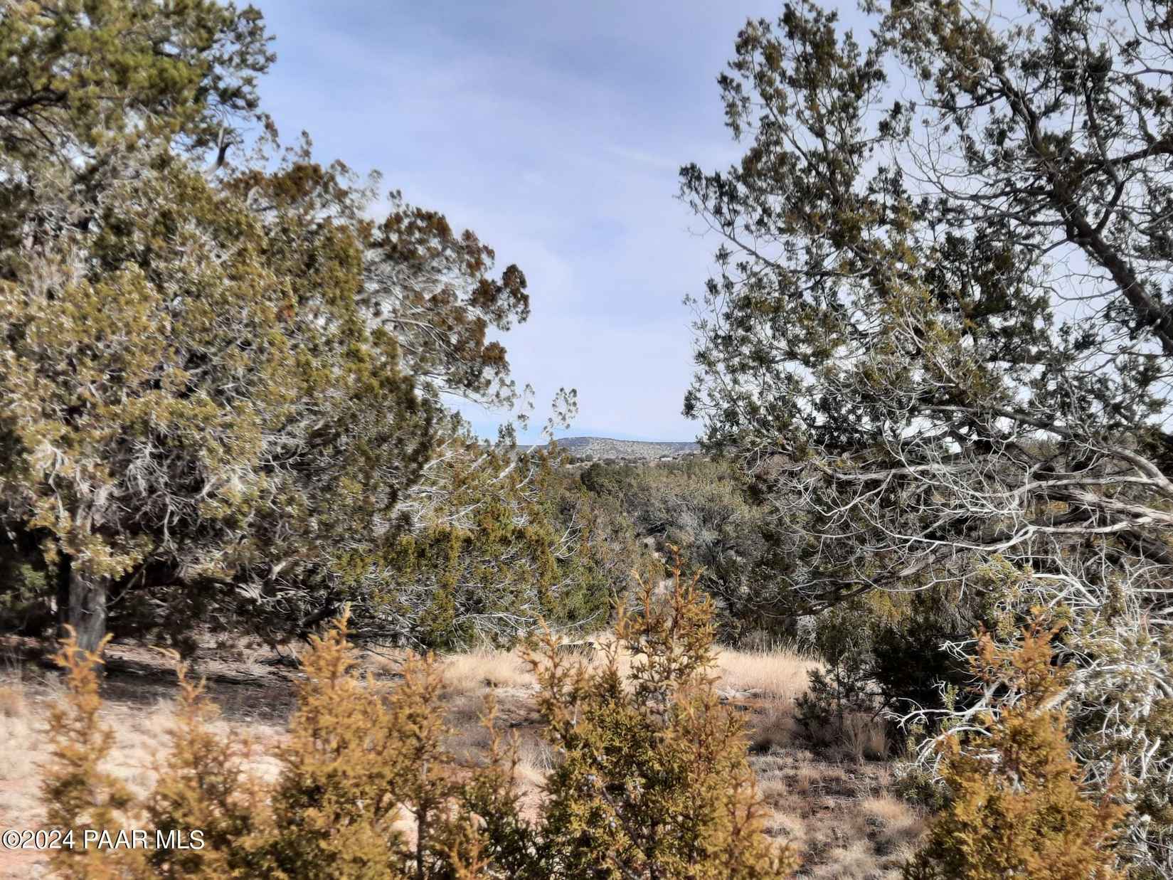 54353 N Shadow Mtn Pkwy  