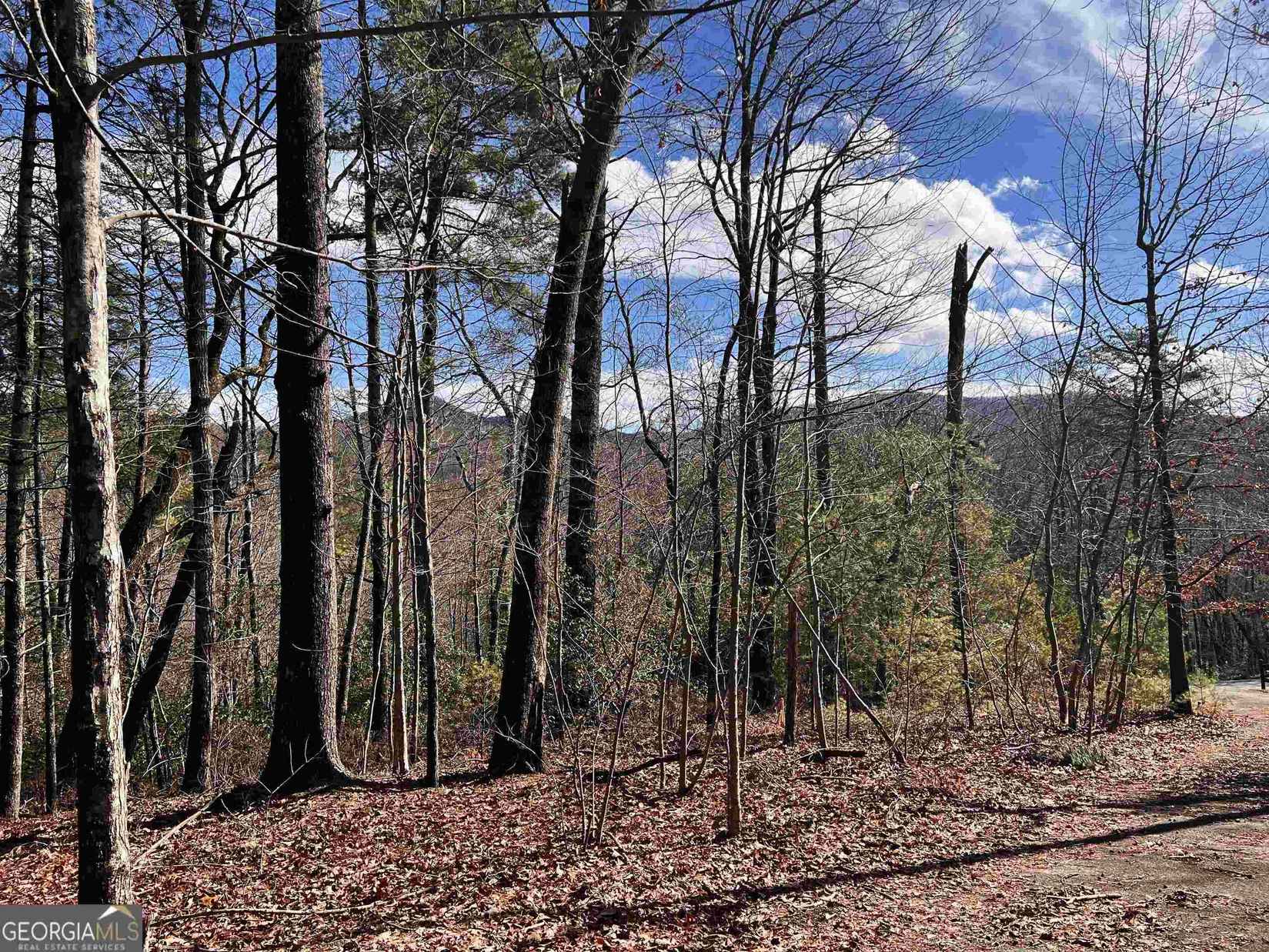0 Secluded Pond Rd  
