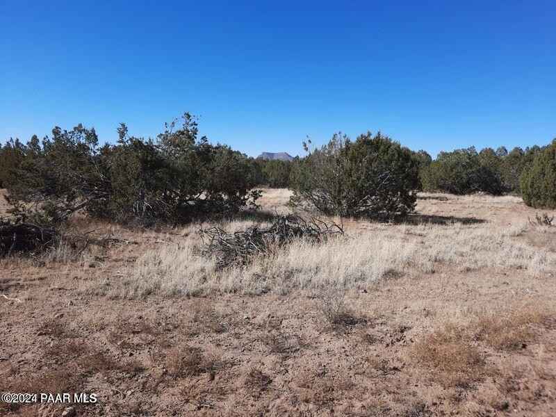 564 N Caliente Wind Way  