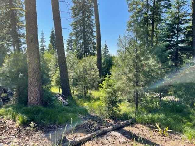 LOT 69 Aspen Rdg Ln  