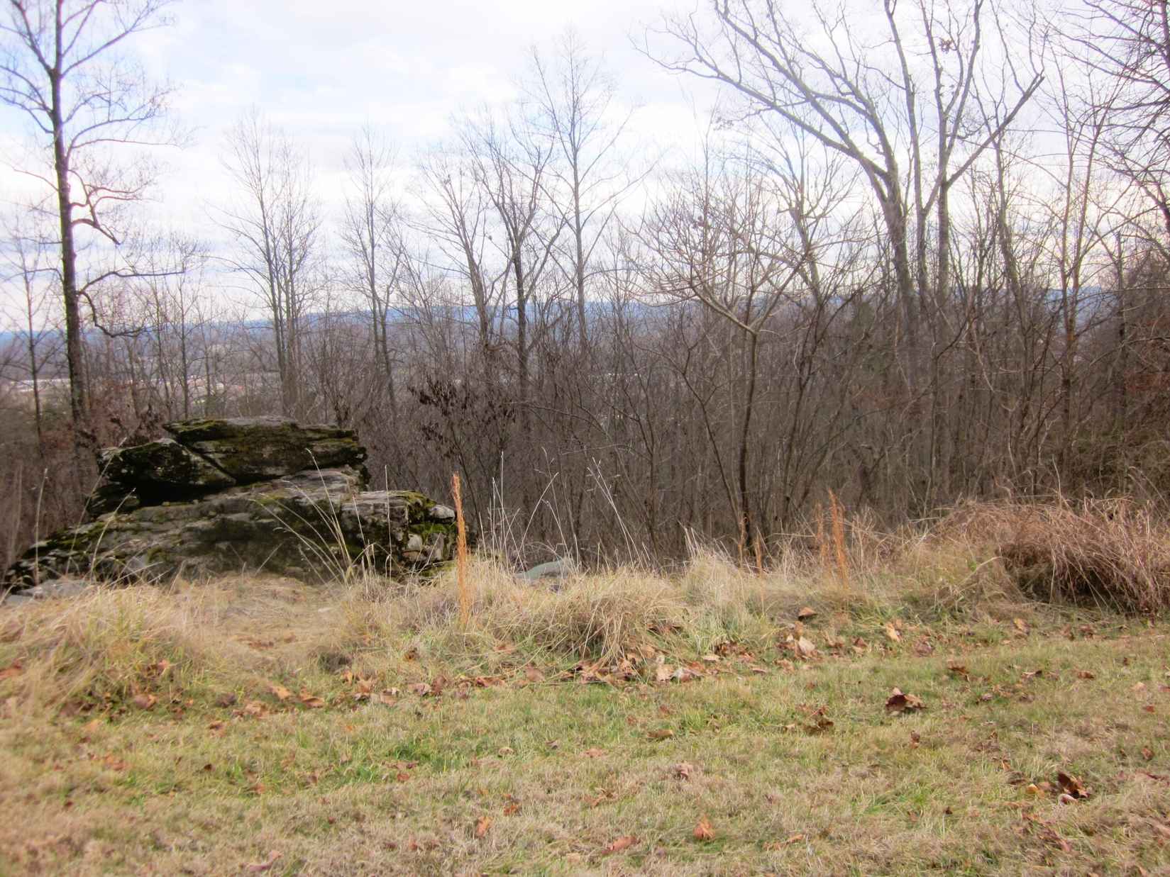 LOT 38 Smt DR  