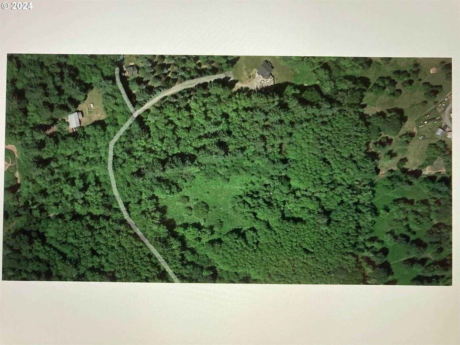 NE 197th Ct  